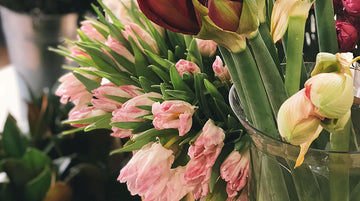 The Best Places for Mother’s Day Brunch