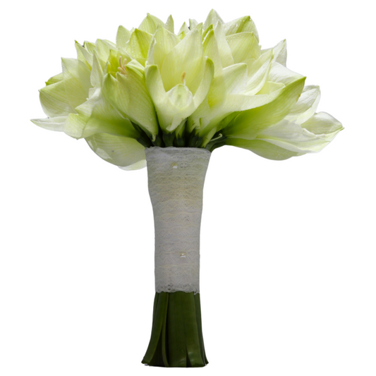 Amaryllis Dream Bouquet