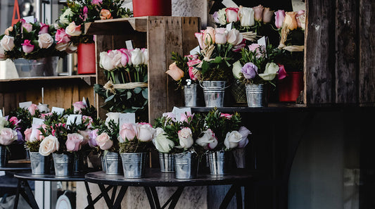 What to Write for a Sympathy Arrangement