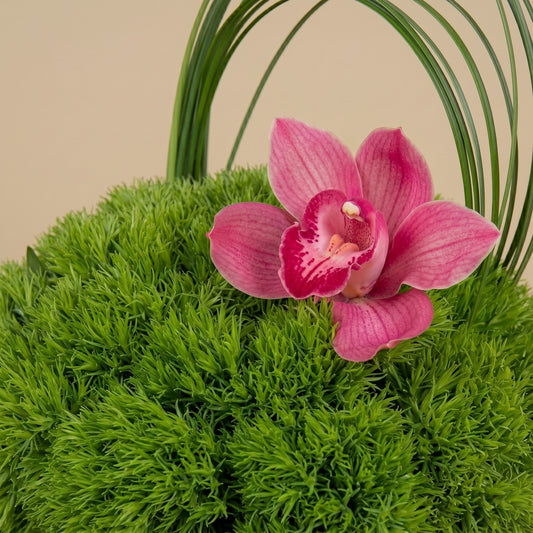 Nature's Touch
