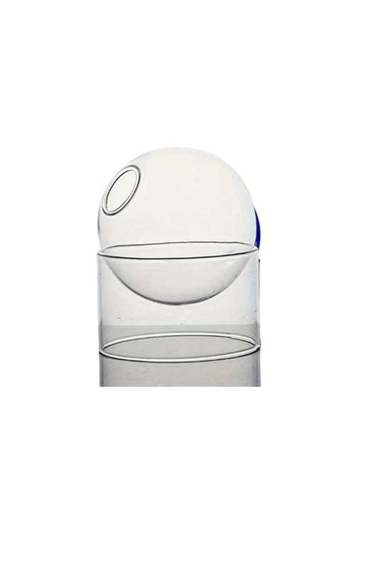 Creative Bubble Ball Shape Vase Transparent