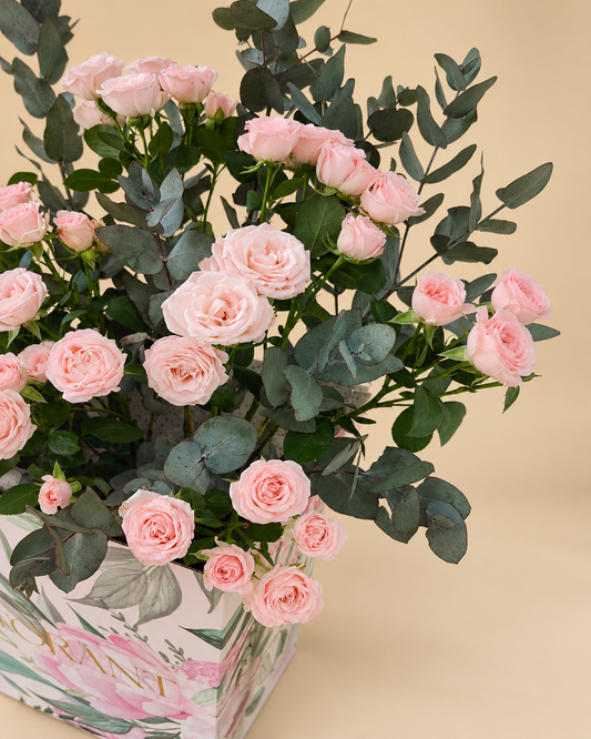Blush Rose Garden Box